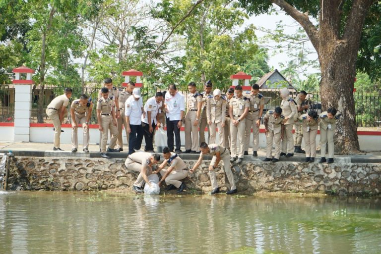 ipdn sulsel tebar ikan 2026